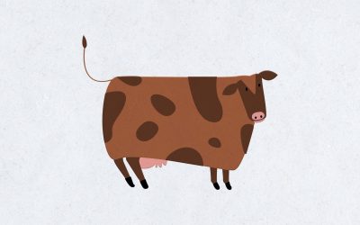 The 64 Very Best Deez Nuts Jokes 2025