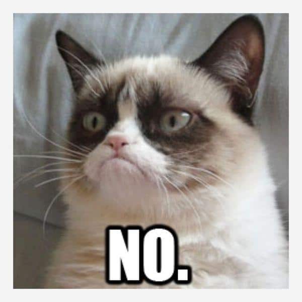 Cat no memes