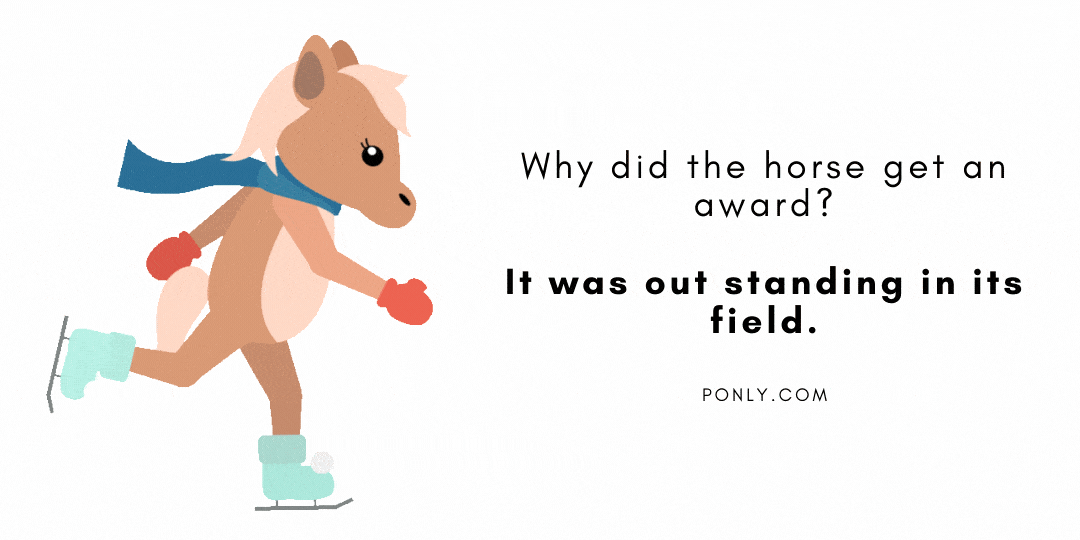 horse jokes