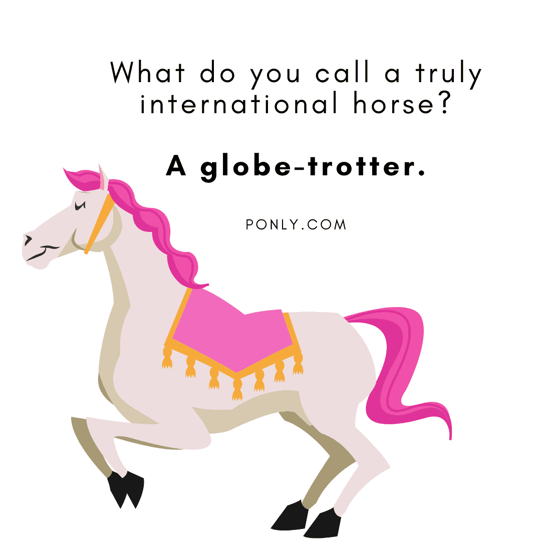 horse puns